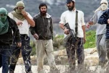 مستوطنون يهاجمون منزلا في جيت