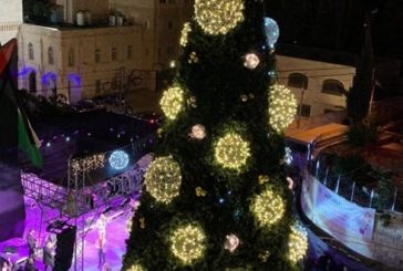 شاهد بالفيديو..اضاءة شجرة الميلاد في بيت جالا