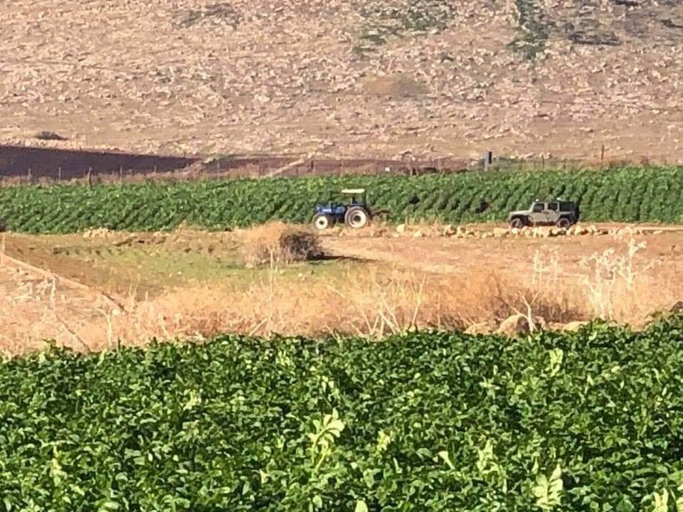 استهداف المزارعين لازال مستمرا في الأغوار …