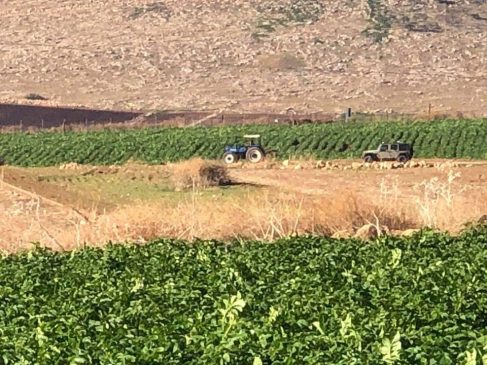 انتهاكات اسرائيليه /الاغوار الشماليه /طوباس