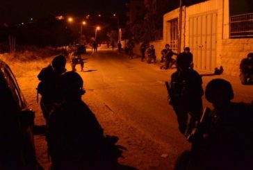 جنين: الاحتلال يعتقل 12 مواطنا بينهم 4 أشقاء