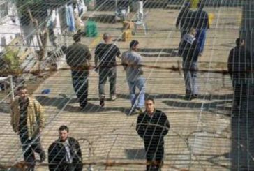 الأسيران رشدي أبو مخ وإبراهيم أبو مخ يدخلان عامهما الـ36 في سجون الاحتلال