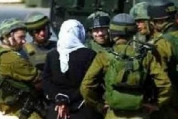 الخليل: الاحتلال يعتقل سبعة مواطنين بينهم امرأة