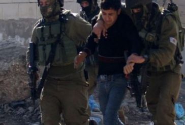 طوباس - الاحتلال يعتقل فتى من طوباس