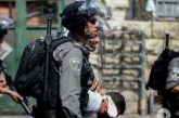 الاحتلال يعتقل 15 مواطنا من الضفة