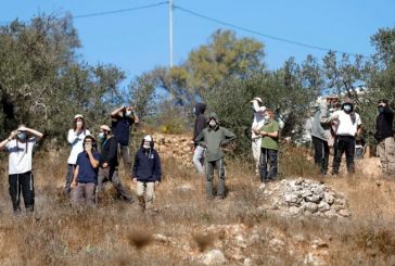 القدس : مستوطنون يقتحمون أراضي وادي الربابة في سلوان ويكسرون أشجار زيتون