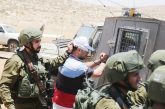 بيت لحم : الاحتلال يعتقل 8 مواطنين من مخيمي عايدة والعزة
