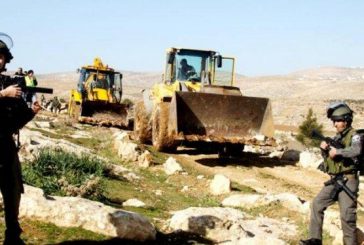 الاحتلال يجرف أرضا ويقتلع عشرات أشتال الزيتون غرب بيت لحم