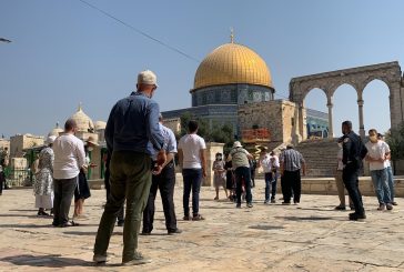 القدس ... مستوطنون يقتحمون باحات 
