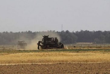 الاحتلال يعتقل 3 شبان شرق غزة