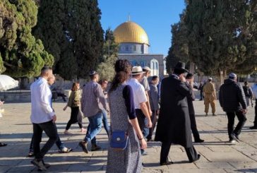القدس : مستعمرون يقتحمون الأقصى والاحتلال يستدعي عددا من حراسه