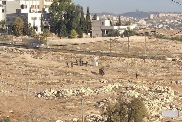 قوات الاحتلال تحاصر مدرسة تقوع وتعتقل ثلاثة تلاميذ