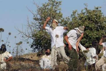 مستوطنون يهاجمون منازل المواطنين في عوريف جنوب نابلس