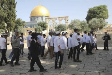 القدس : مستعمرون يقتحمون المسجد الأقصى
