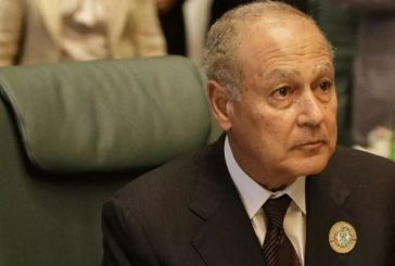 أبو الغيط يؤكد أهمية الحفاظ على المواقف الأوروبيّة المبدئية المتعلقة بحل الدولتين