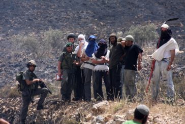 مستوطنون يعربدون جنوب جنين