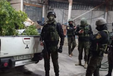 الاجهزة الامنية تضبط مشتلاً للمخدرات في ضواحي القدس