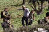 الخليل : مستعمرون يهاجمون رعاة الأغنام في مسافر يطا