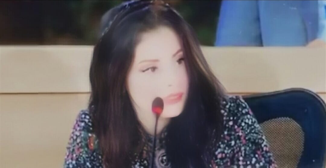 السياسة الخارجية الموجهة عبر وسائل الاعلام ” الدبلوماسية الإعلامية “