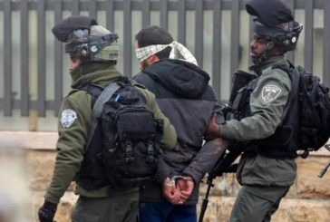 الاحتلال يعتقل 7 مواطنين من الخليل