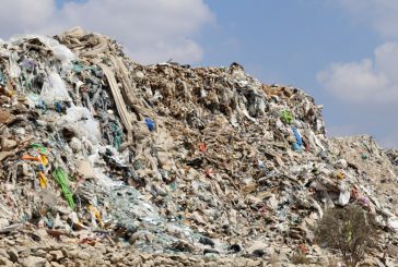 أريحا: احتفال لمناسبة يوم البيئة الوطني تحت شعار 