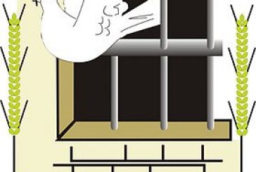 نادي الأسير ينشر معطيات وقراءة عن عمليات الاعتقال في محافظة جنين منذ مطلع العام الجاري