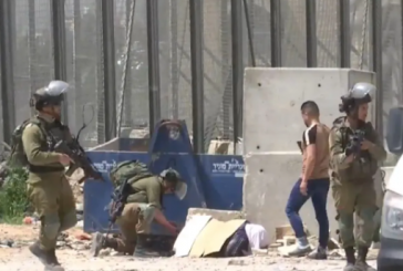 استشهاد المواطنة التي أصيبت برصاص الاحتلال في حوسان غرب بيت لحم