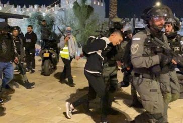القدس - اعتقال شاب في باب العامود بالقدس المحتلة
