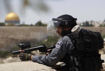 الرويضي: الاحتلال يسعى لتصعيد الأوضاع في القدس