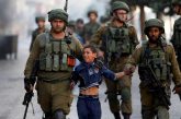 بيت لحم : الاحتلال يعتقل طفلا من الخضر جنوب بيت لحم