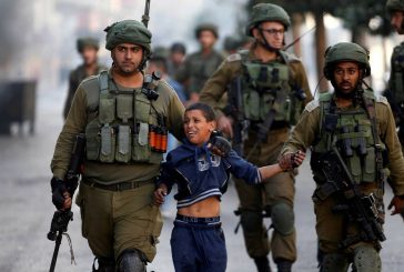 بيت لحم : الاحتلال يعتقل طفلا من الخضر جنوب بيت لحم