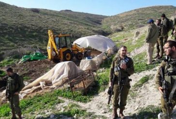 الاحتلال يداهم منطقة الرأس الأحمر في الأغوار