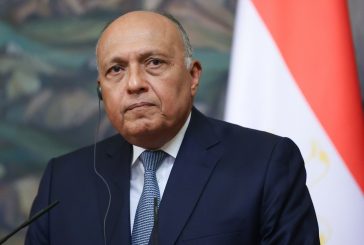 شكري يبحث مع مبعوث الأمم المتحدة لعملية السلام تطورات القضية الفلسطينية
