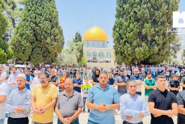 50 ألفا يؤدون صلاة الجمعة في الأقصى