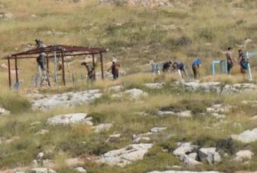 مستوطنون يشرعون ببناء معرش في خربة الفارسية بالأغوار الشمالية