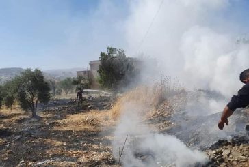 مستوطنون يحرقون أراضي زراعية ويهاجمون منازل جنوب نابلس