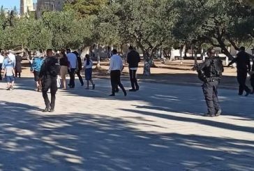 القدس-مستوطنون يقتحمون الأقصى ودعوات لاقتحامات واسعة الشهر المقبل