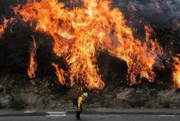 قتيلان و5 مصابين جراء إطلاق نار في حديقة لوس أنجلوس الأميركية