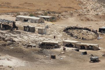 الزراعة تسلم 45 طنا من الأعلاف لمربي الثروة الحيوانية في مسافر يطا