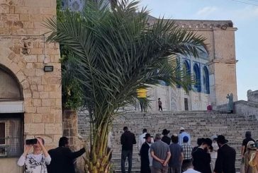 القدس-عشرات المستوطنين يقتحمون 