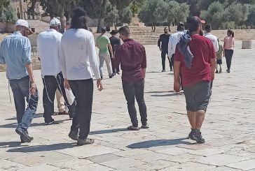 القدس- عشرات المستوطنين يقتحمون الأقصى