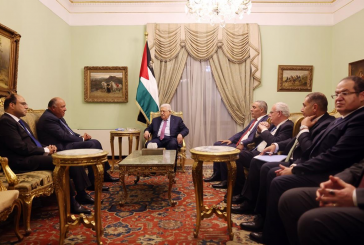 الرئيس يستقبل وزير الخارجية المصري
