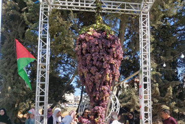مهرجان العنب الفلسطيني التاسع.. لآلئ من ذهب