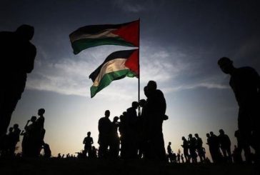 65 منظمة عالمية تطالب مفوض حقوق الإنسان بالعدالة للفلسطينيين