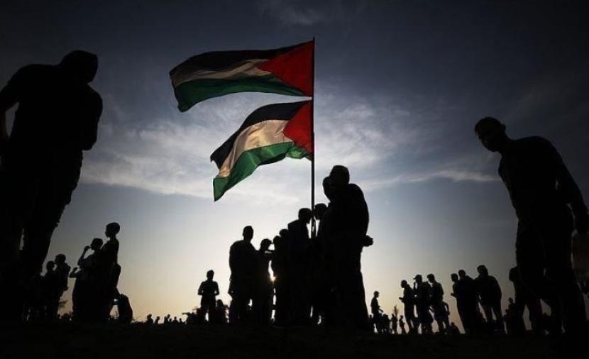 65 منظمة عالمية تطالب مفوض حقوق الإنسان بالعدالة للفلسطينيين
