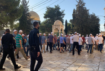 القدس-مستوطنون يقتحمون 