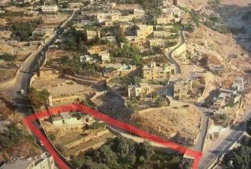 القدس: مستوطنون يستولون على 5 دونمات في واد حلوة والاحتلال يعتقل ثلاثة شبان