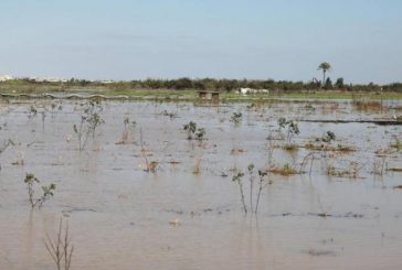 الاحتلال يغرق مجددا منازل ودونمات زراعية شرق خان يونس ودير البلح