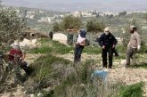 سلفيت-مستوطنون يسرقون سياجا من أراضي قرية فرخة غرب سلفيت
