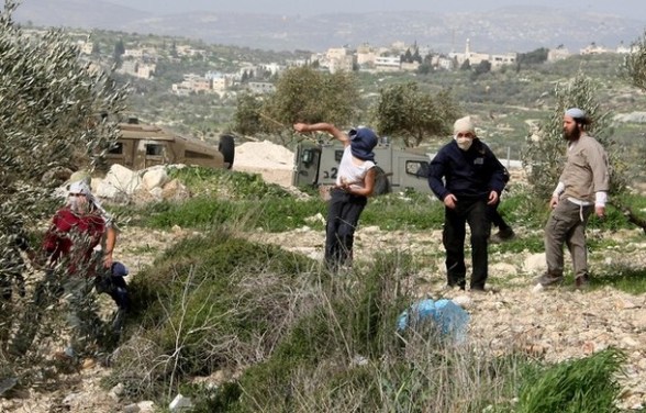 مستعمرون يحرقون خياما لمواطنين في الأغوار الشمالية